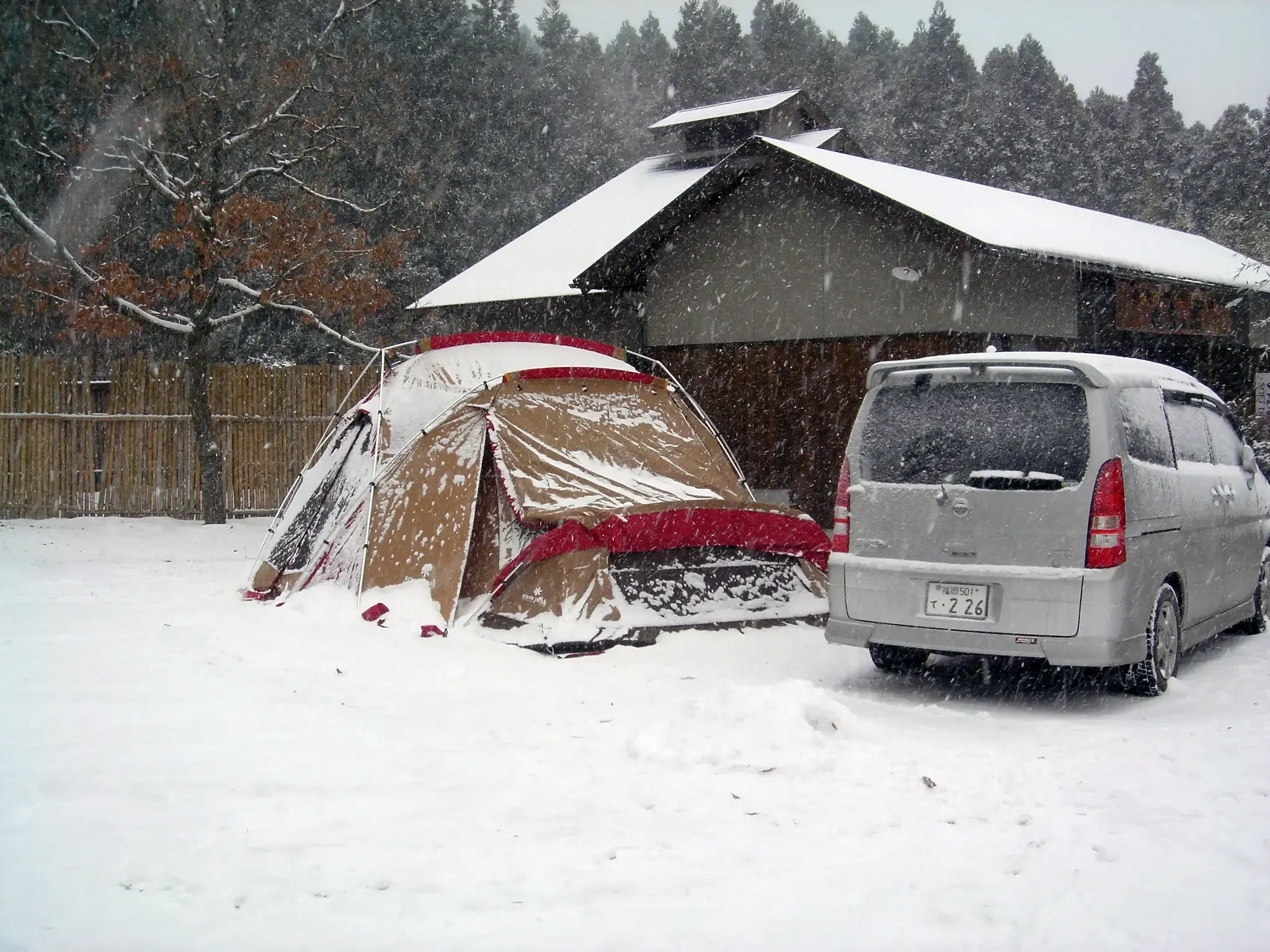 山鳥の森オートキャンプ場　雪中キャンプ　リビングシェル