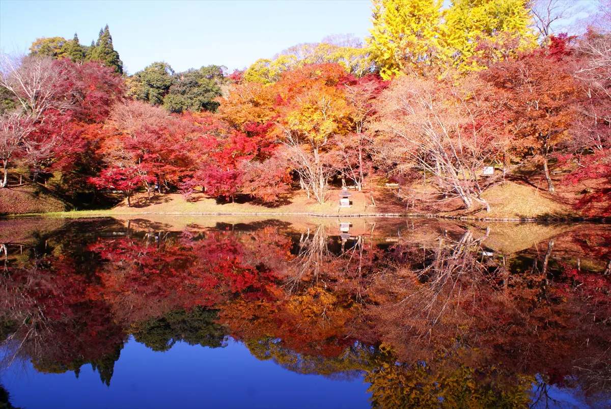 用作公園