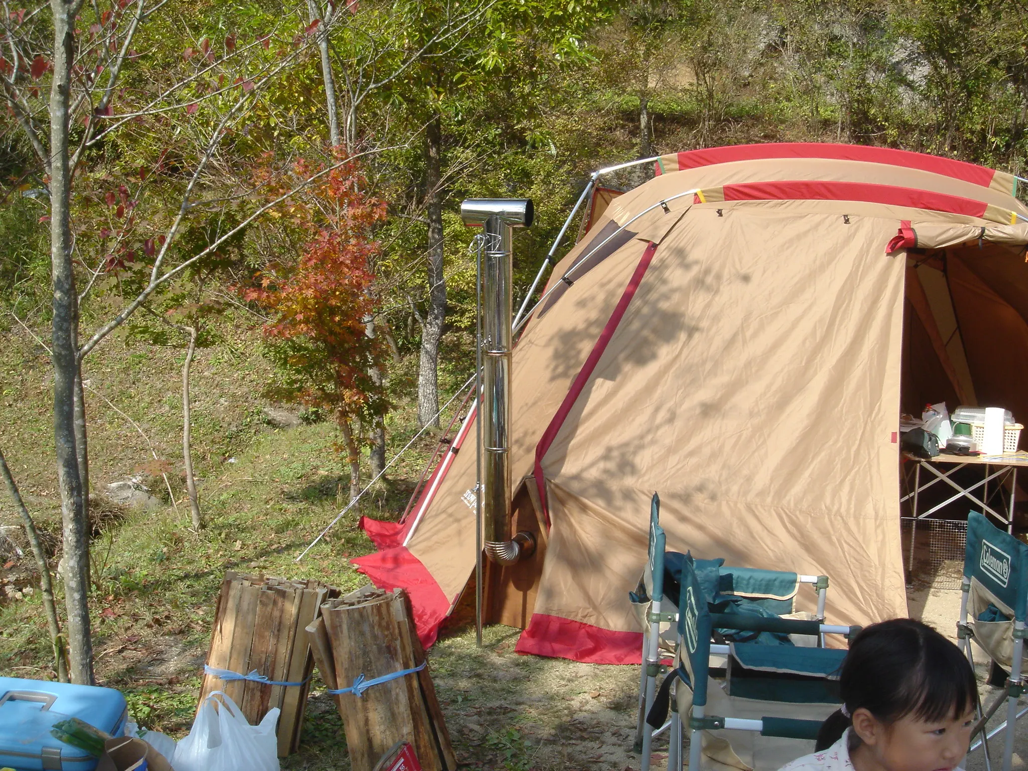 リビングシェル　薪ストーブ　煙突