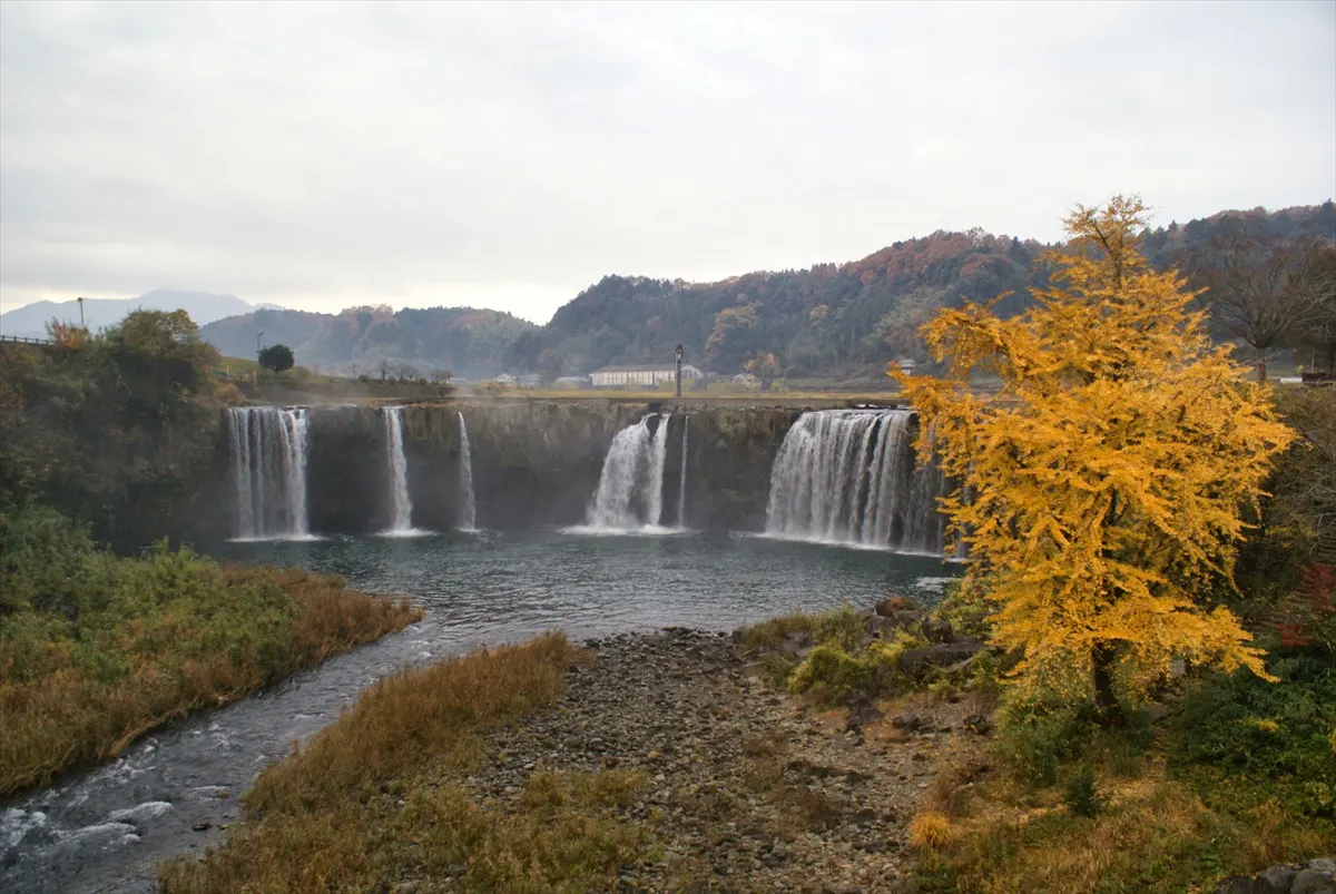 原尻の滝と大銀杏