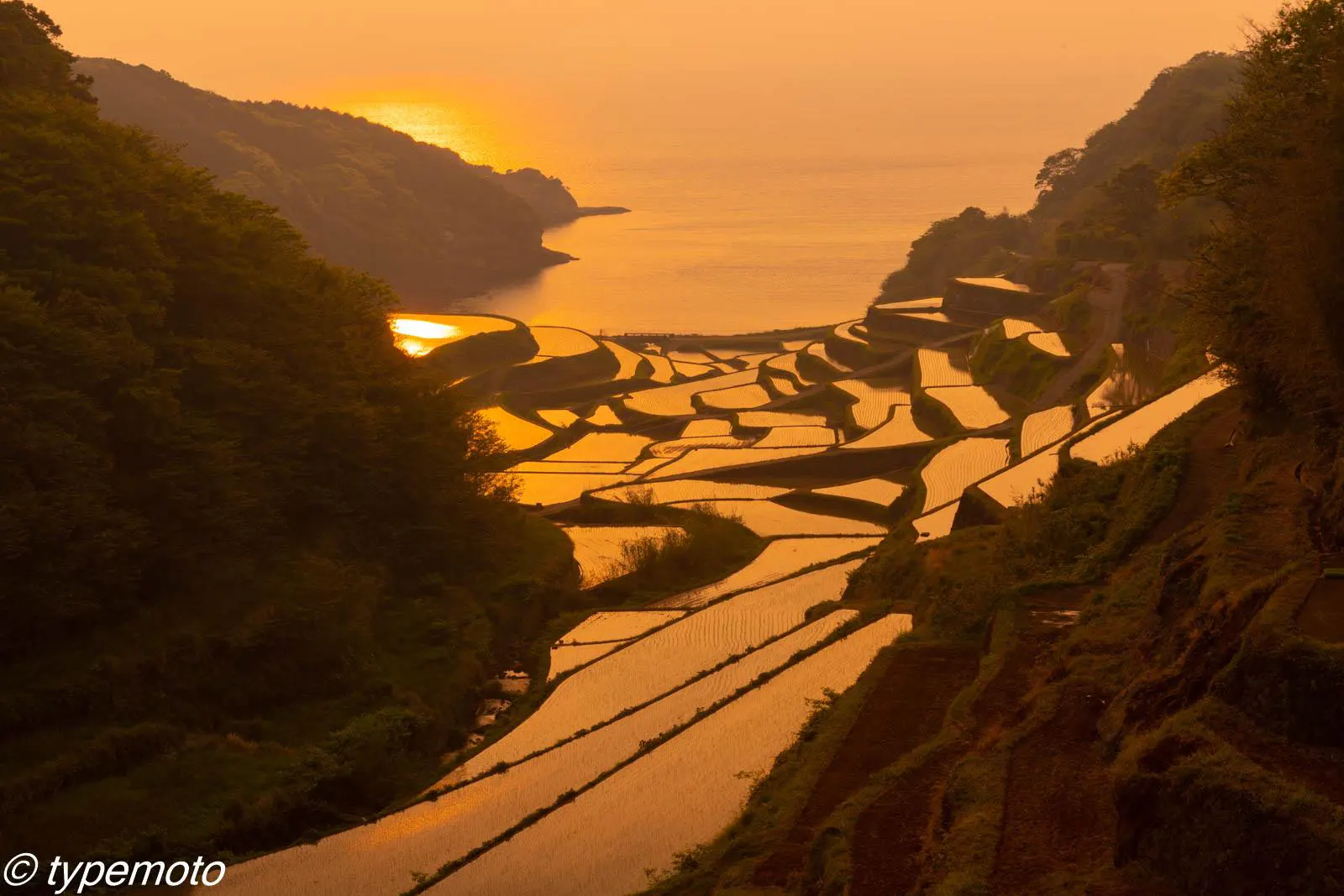 浜野浦の棚田　夕焼け