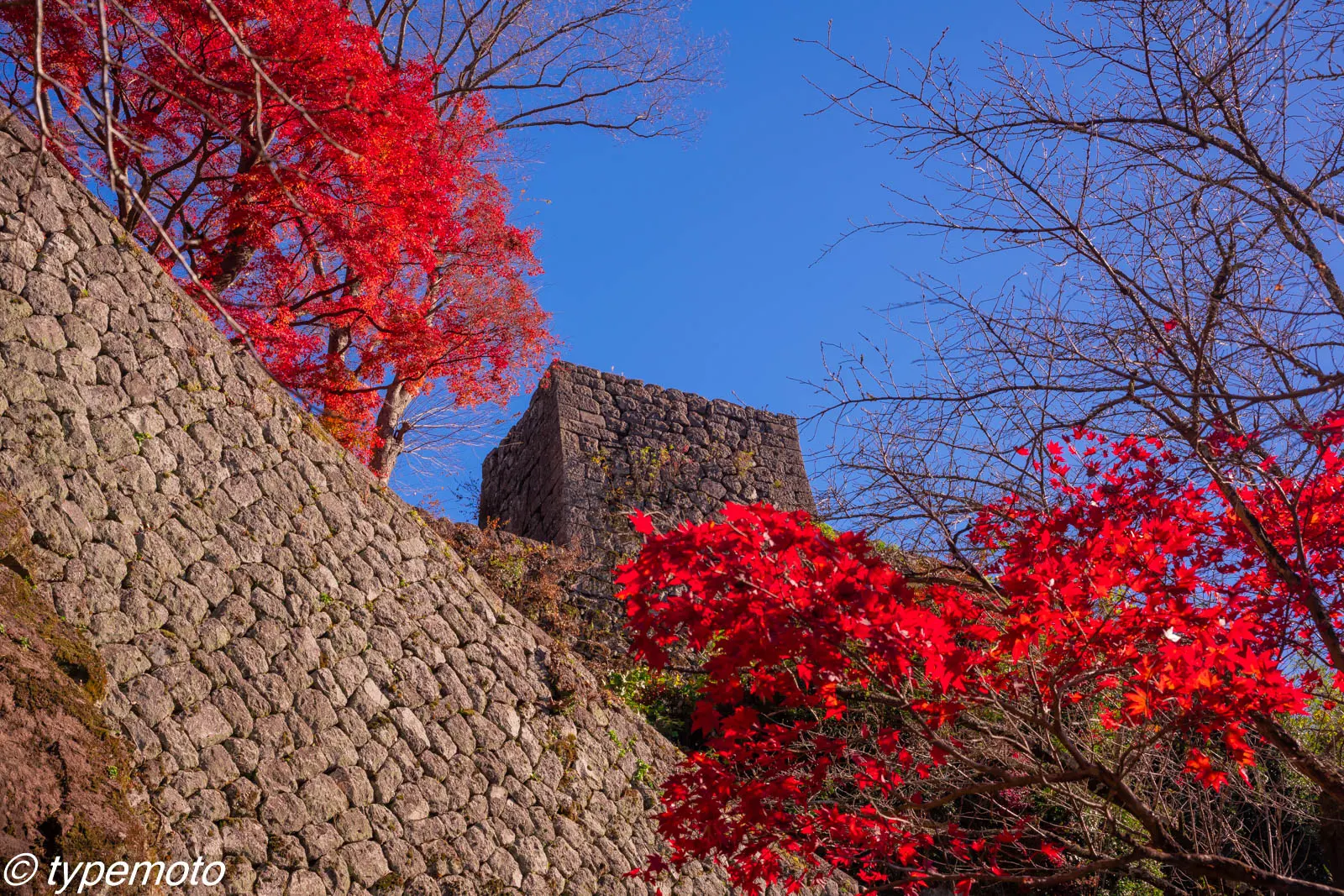 岡城跡　紅葉