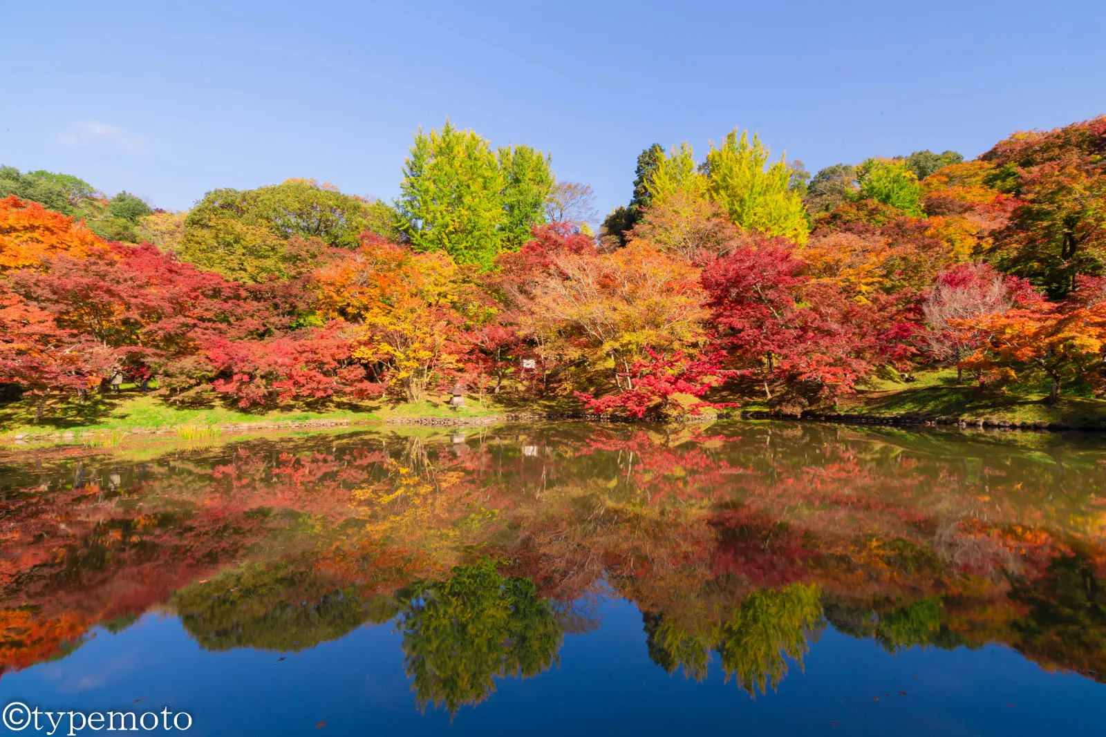 用作公園　紅葉
