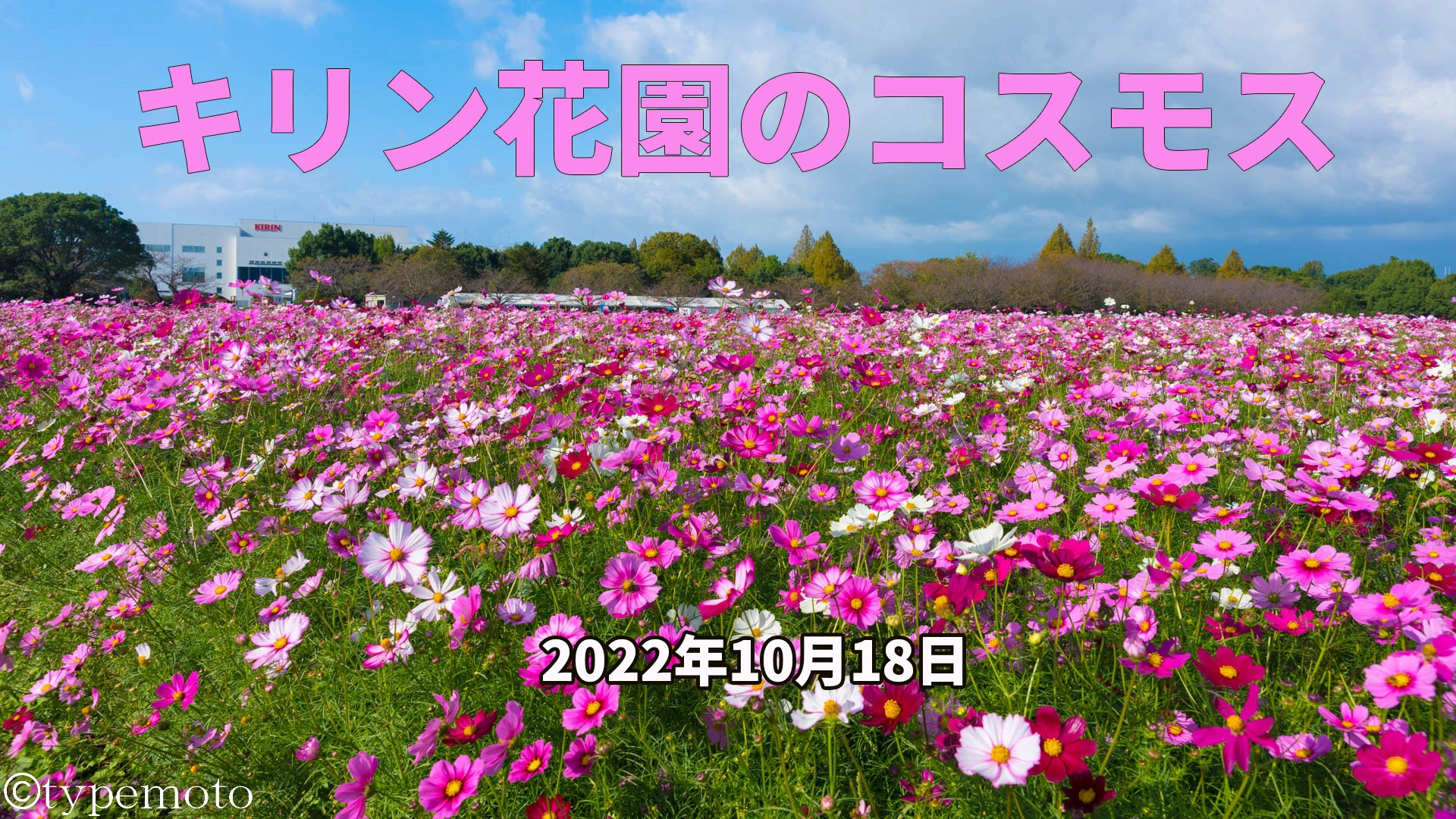キリン花園2022